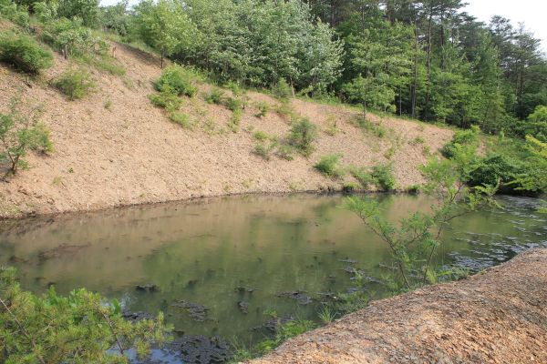 Cost of Pond Erosion Repair in Jefferson City